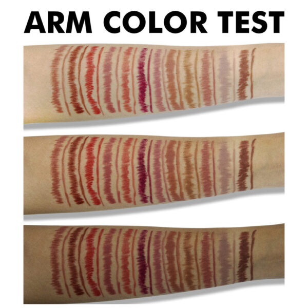 12 Color Matte Lipstick Lip Liner Suit - Image 3
