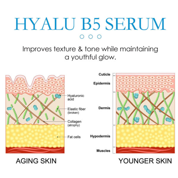 Hoygi Anti-wrinkle Firming B5  Moisturizing - Image 4